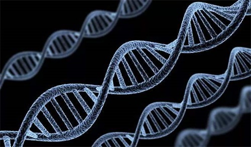 Abnormal folate metabolizing enzyme genotypes are the main cause of folate metabolism disorders